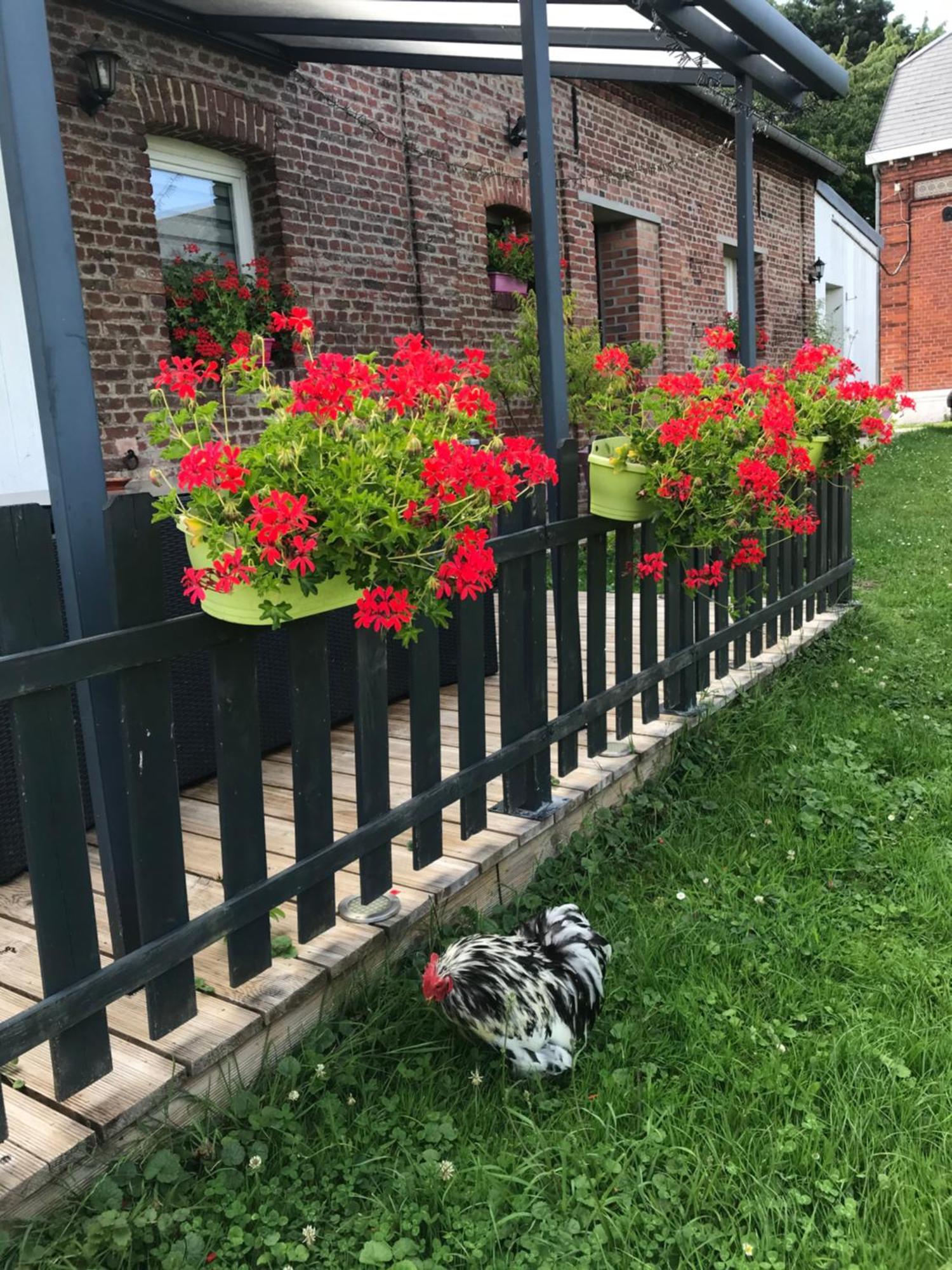 Chambre d'hôtes COQUELICOT Nurlu Exterior foto